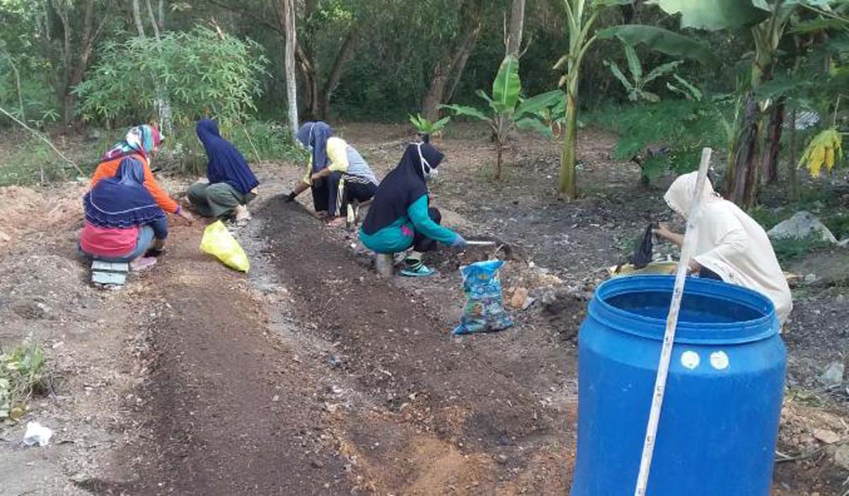 Ibu-ibu di Kecamatan Tebing, Kabupaten Karimun menanam lahan dengan tanaman produktig. (foto: yogi)