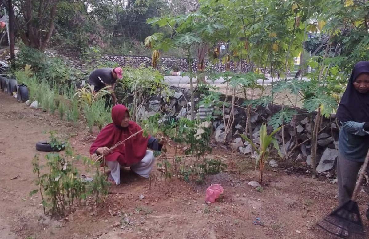 Cegah kebakaran hutan dan lahan dengan menanam tanaman produktif. (foto: yra)