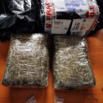 Salah satu tersangka penerima kiriman daun ganja kering yang memanfaatkan jasa kurir. (Foto: Dokumentasi Bea Cukai Batam)