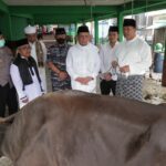 Gubernur Ansar menyerahkan sapi Kurban ke Bupati Anambas